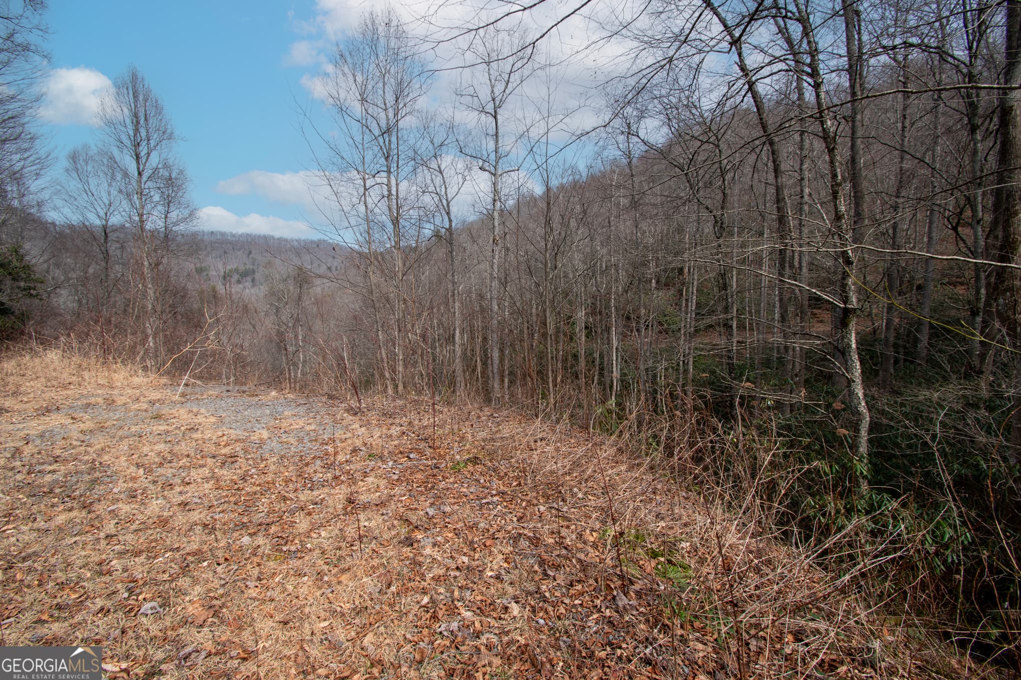 residential lot for sale at 0 Walnut Cove Branch Road, Robbinville, NC 28771 — photo 3