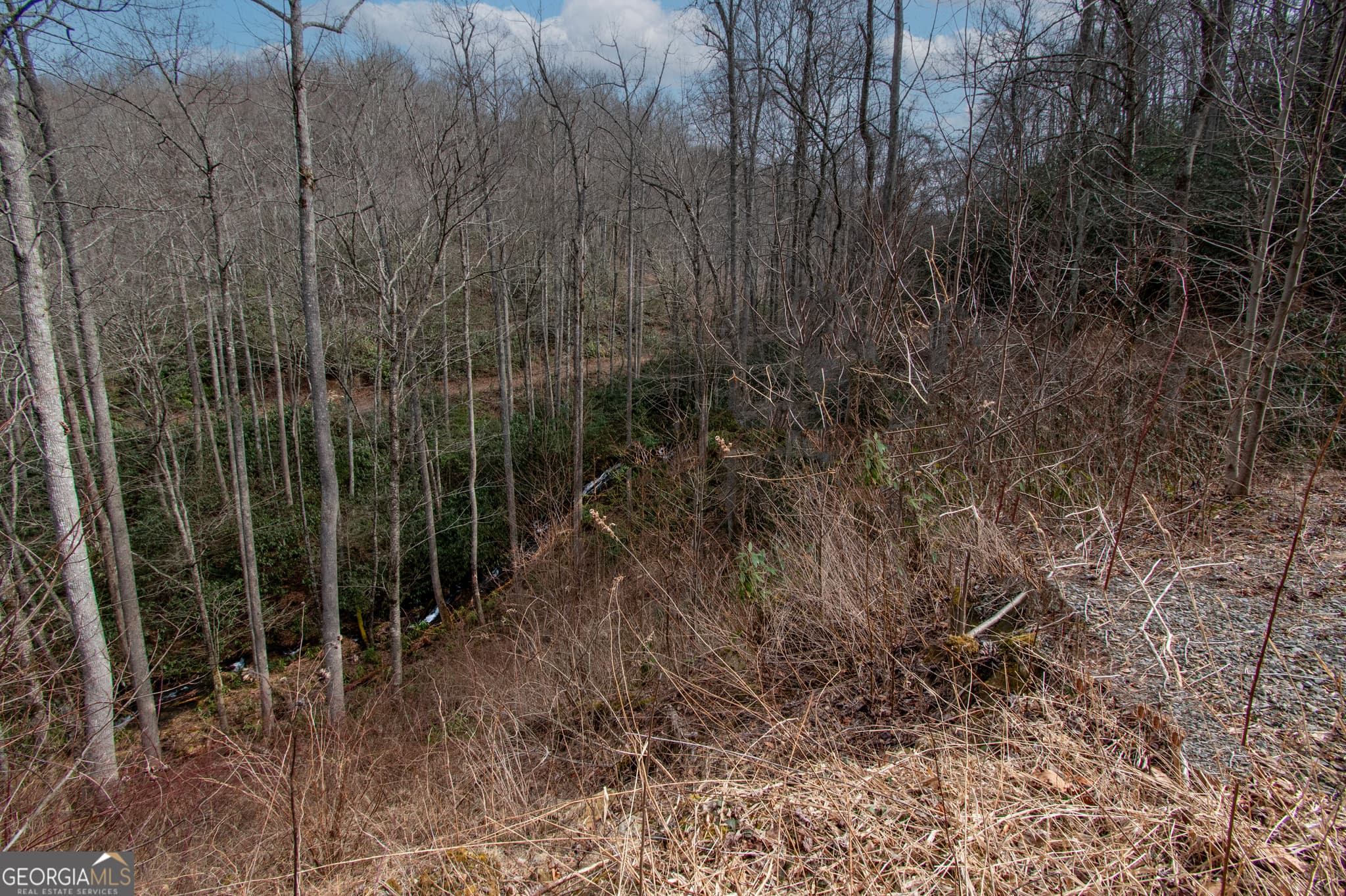 residential lot for sale at 0 Walnut Cove Branch Road, Robbinville, NC 28771 — photo 1 of 14