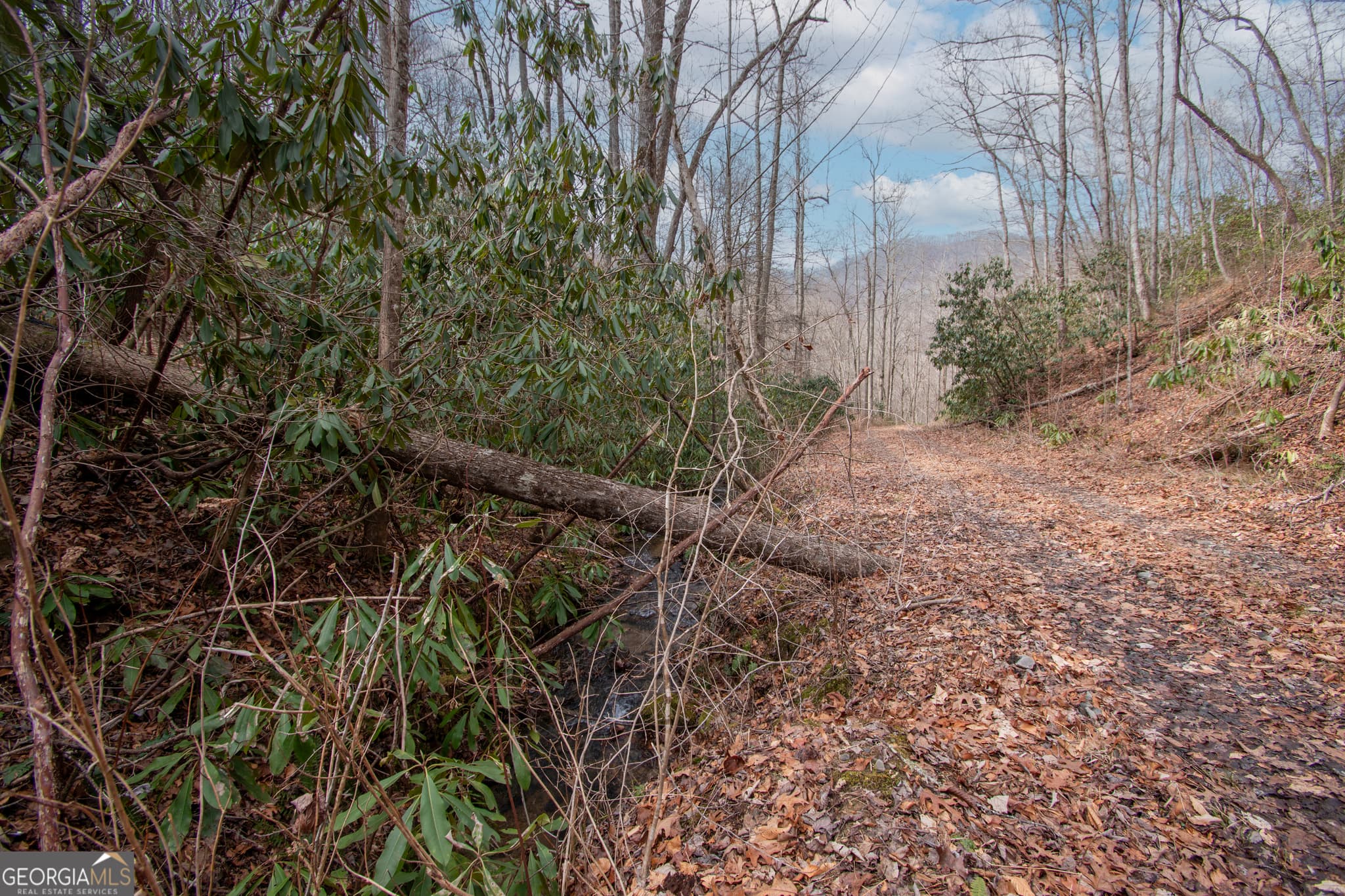 residential lot for sale at 0 Walnut Cove Branch Road, Robbinville, NC 28771 — photo 5