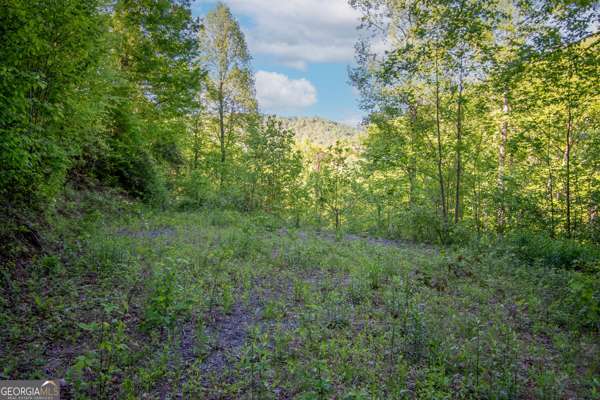 residential lot for sale at 0 Walnut Cove Branch Road, Robbinville, NC 28771 — photo 10