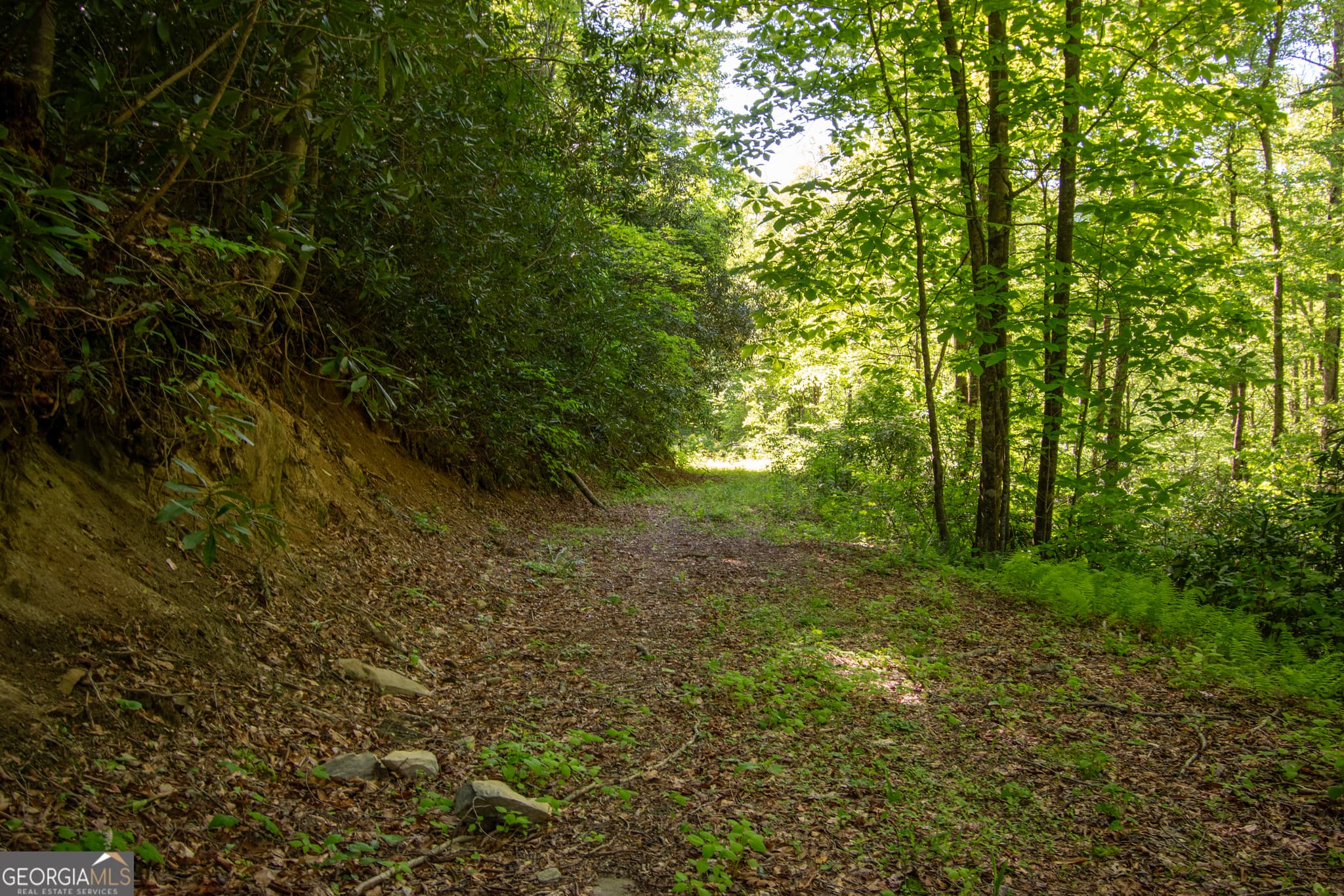 residential lot for sale at 0 Walnut Cove Branch Road, Robbinville, NC 28771 — photo 8