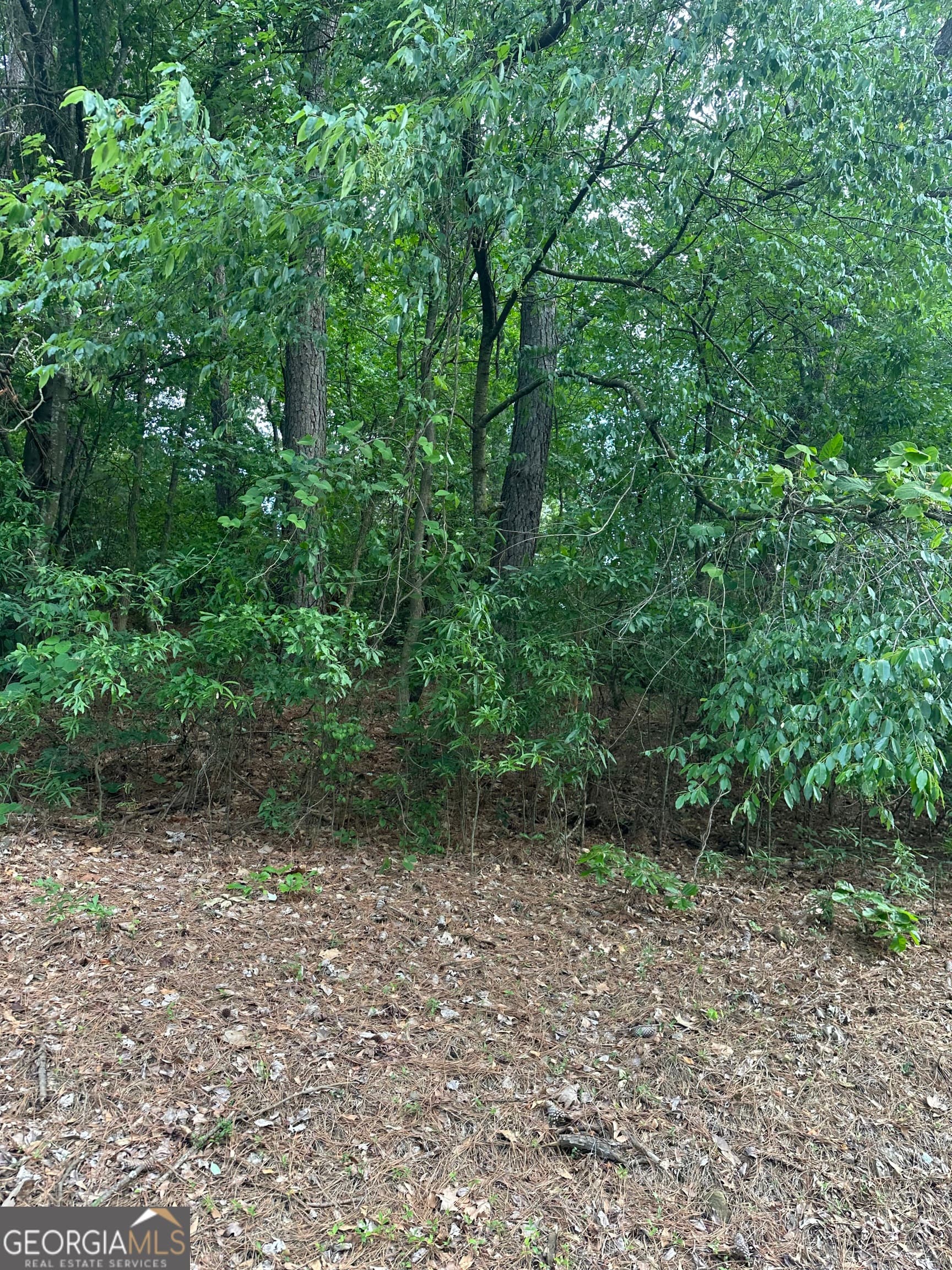 residential lot for sale at 0 Ada Street, Royston, GA 30662 — photo 1 of 6