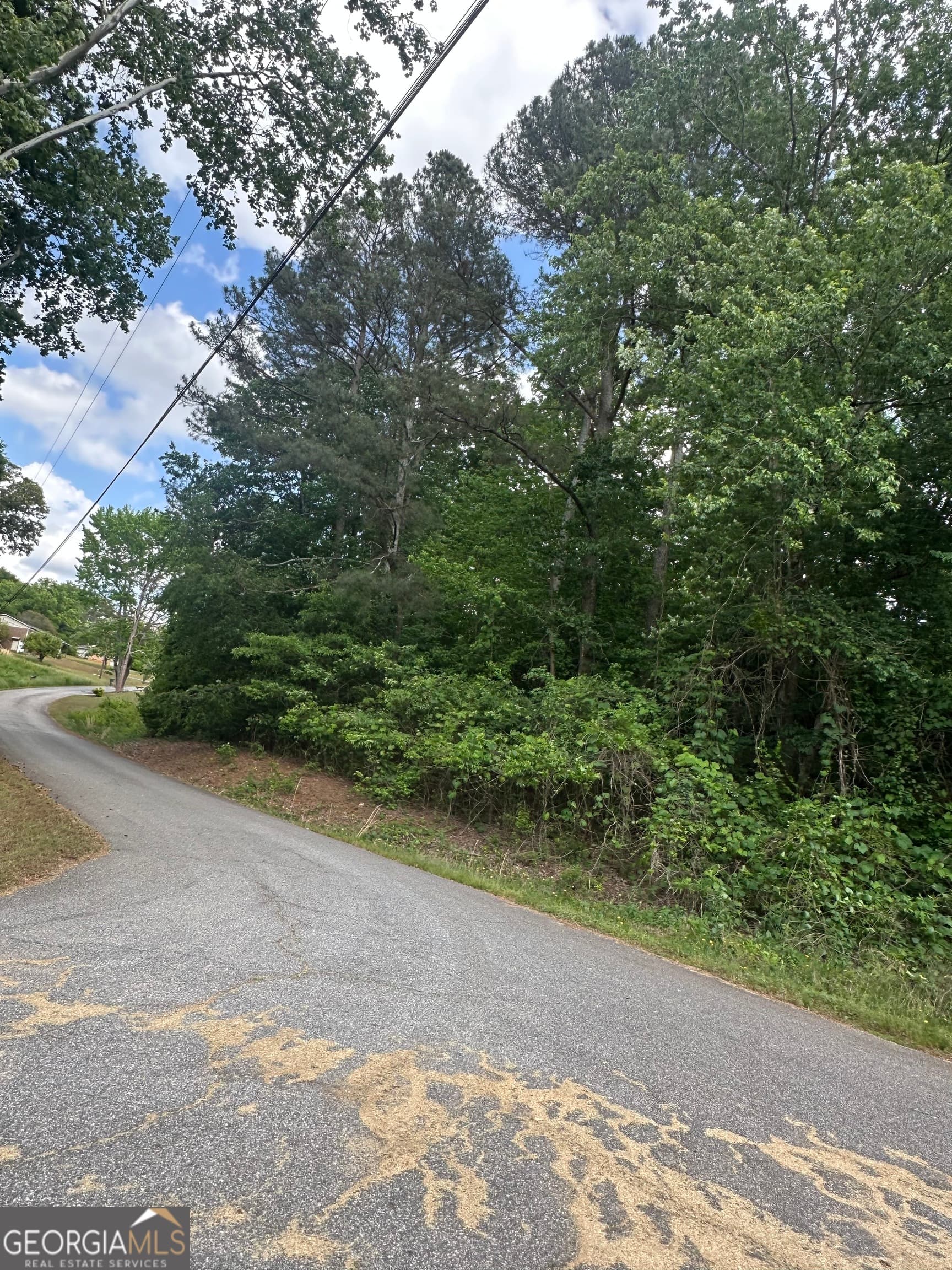 residential lot for sale at 0 Ada Street, Royston, GA 30662 — photo 5