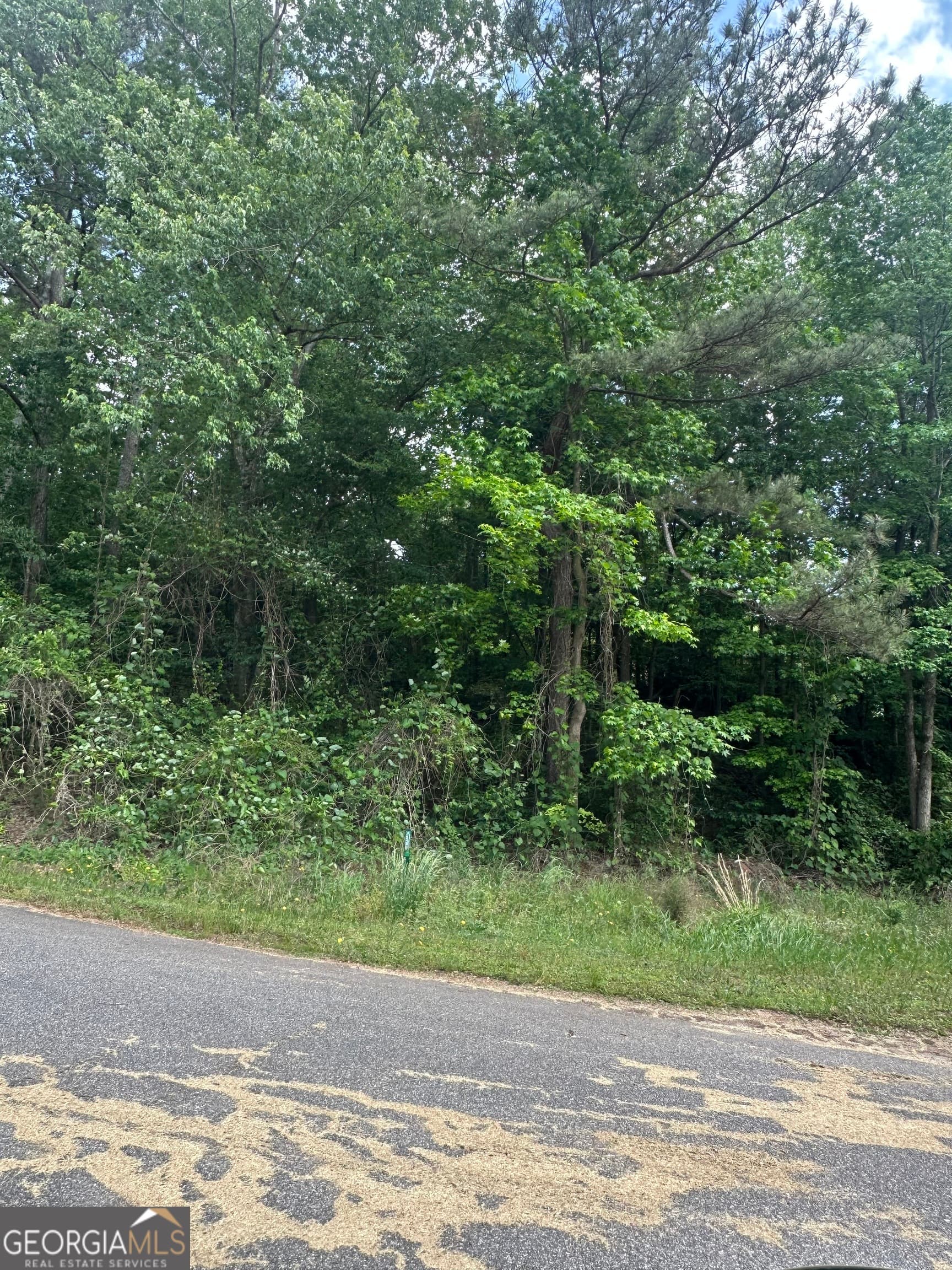residential lot for sale at 0 Ada Street, Royston, GA 30662 — photo 4
