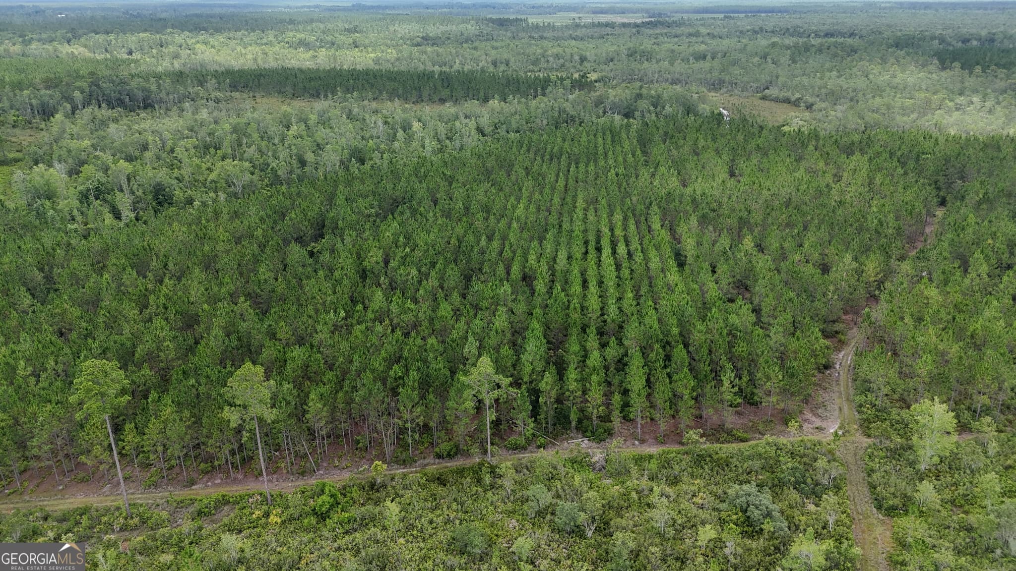 agriculture for sale at 0 Fire Tower Road, Manor, GA 31550 — photo 2