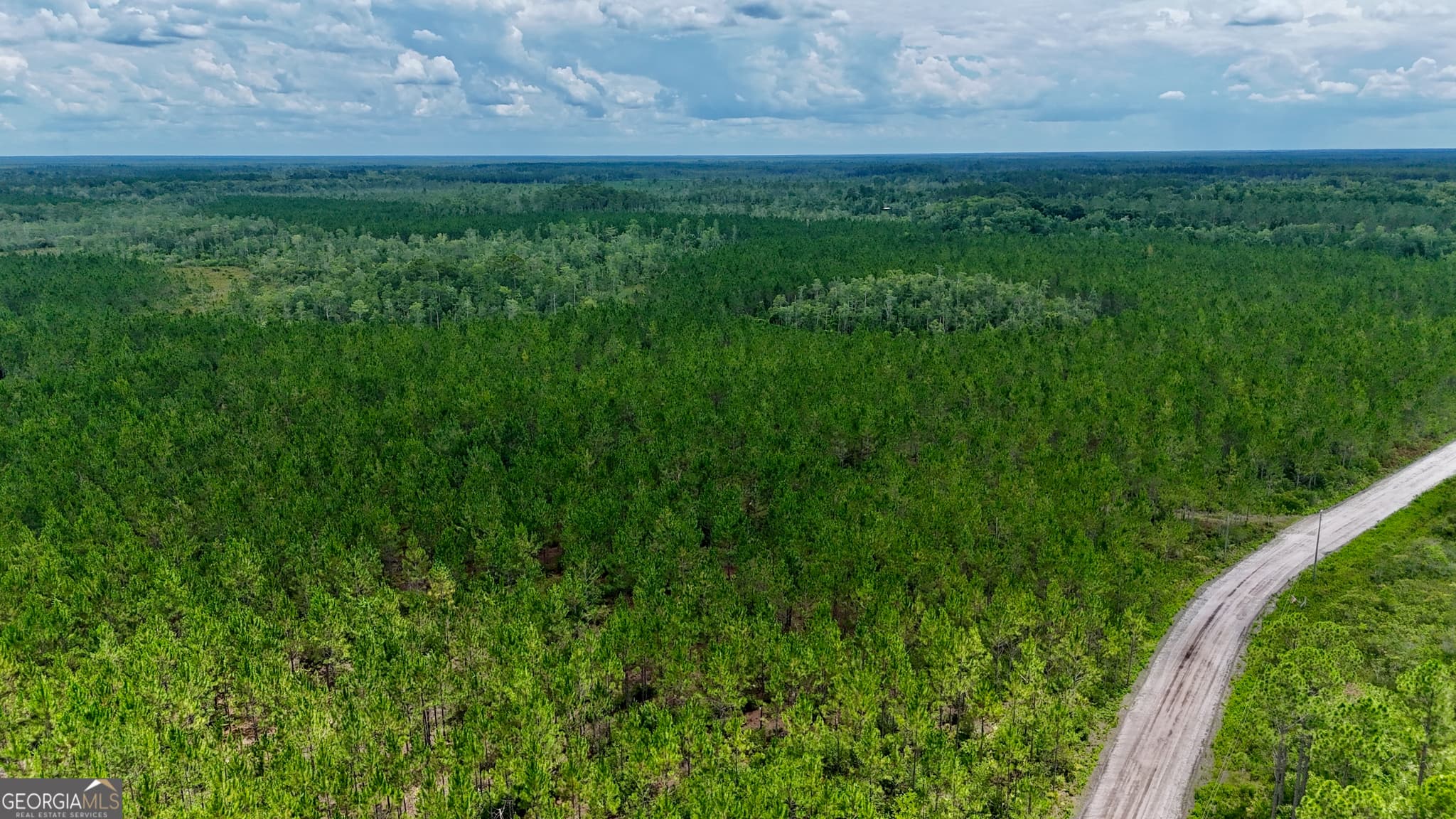agriculture for sale at 0 Fire Tower Road, Manor, GA 31550 — photo 6