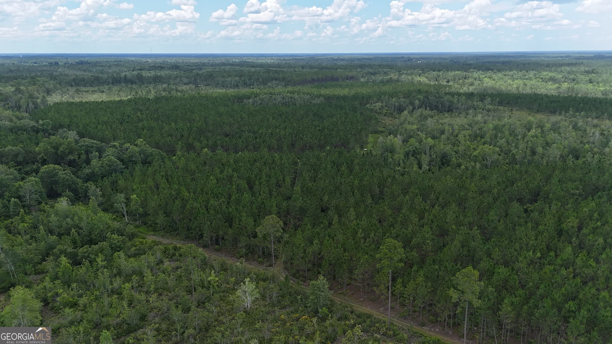 agriculture for sale at 0 Fire Tower Road, Manor, GA 31550 — photo 3