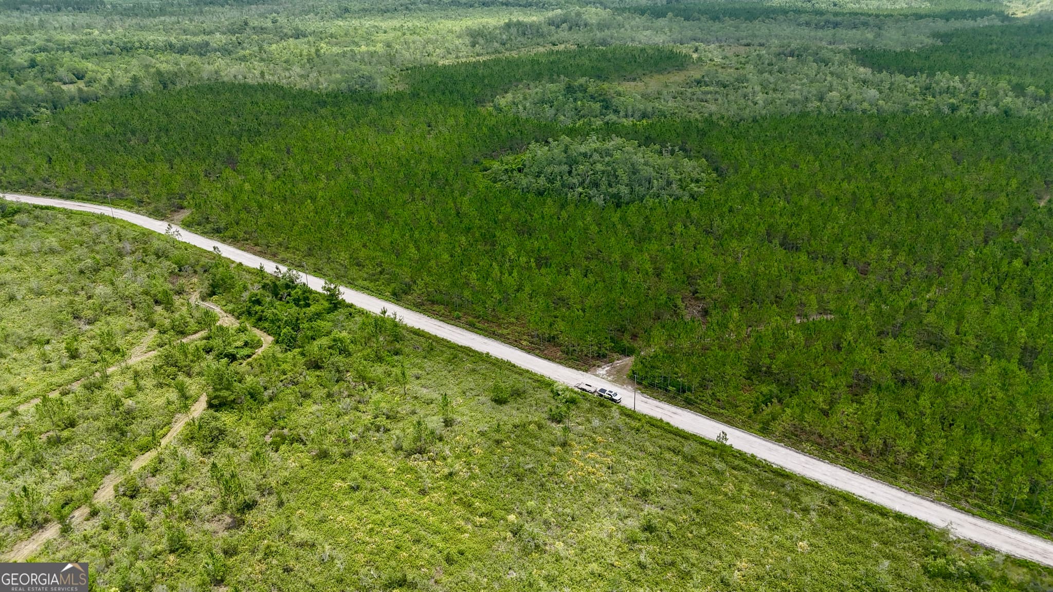 agriculture for sale at 0 Fire Tower Road, Manor, GA 31550
