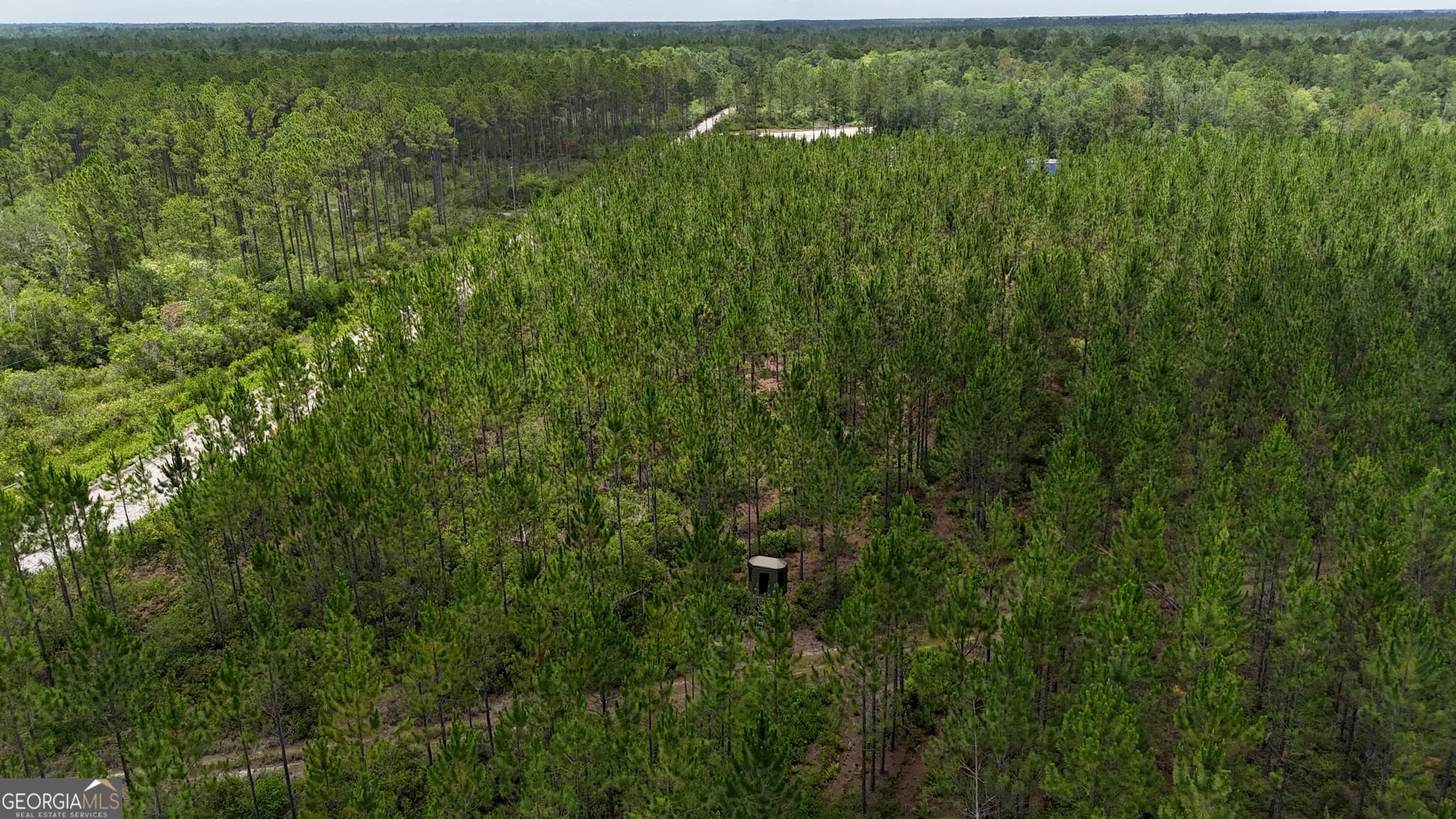 agriculture for sale at 0 Fire Tower Road, Manor, GA 31550 — photo 5