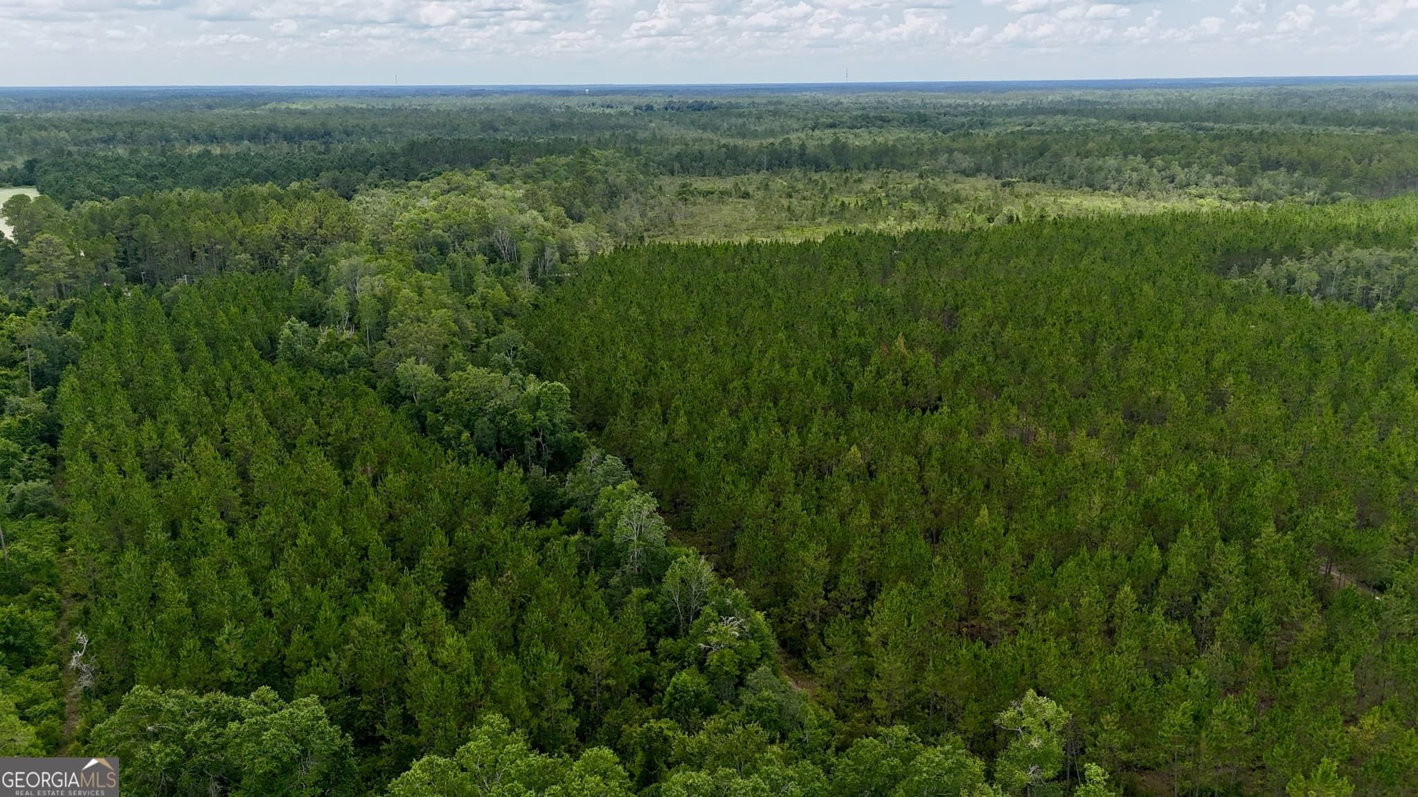 agriculture for sale at 0 Fire Tower Road, Manor, GA 31550 — photo 4