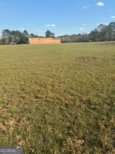 commercial for sale at 0 SOUTH PETERS, Claxton, GA 30417 — photo 6