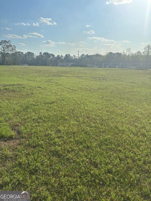 commercial for sale at 0 SOUTH PETERS, Claxton, GA 30417 — photo 3