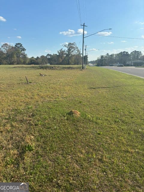 commercial for sale at 0 SOUTH PETERS, Claxton, GA 30417 — photo 5