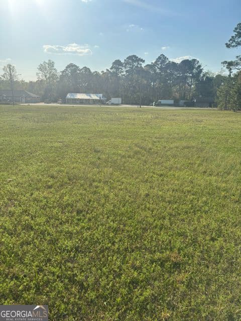 commercial for sale at 0 SOUTH PETERS, Claxton, GA 30417 — photo 4