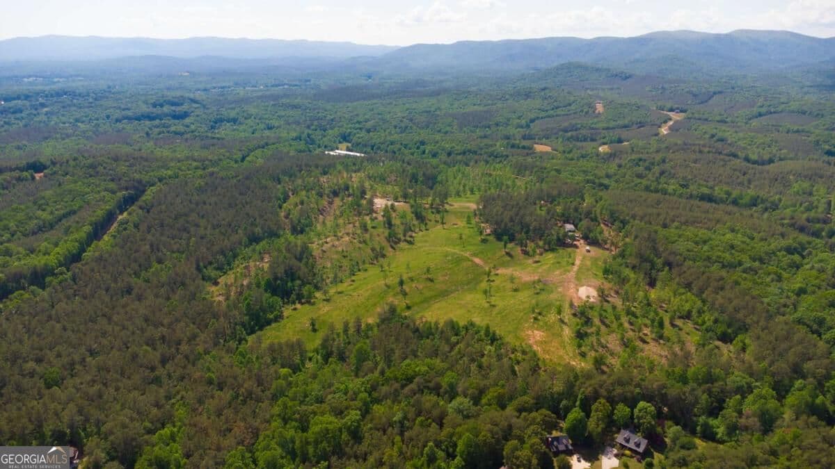agriculture for sale at LOT 1 Highway 52, Dahlonega, GA 30533 — photo 2