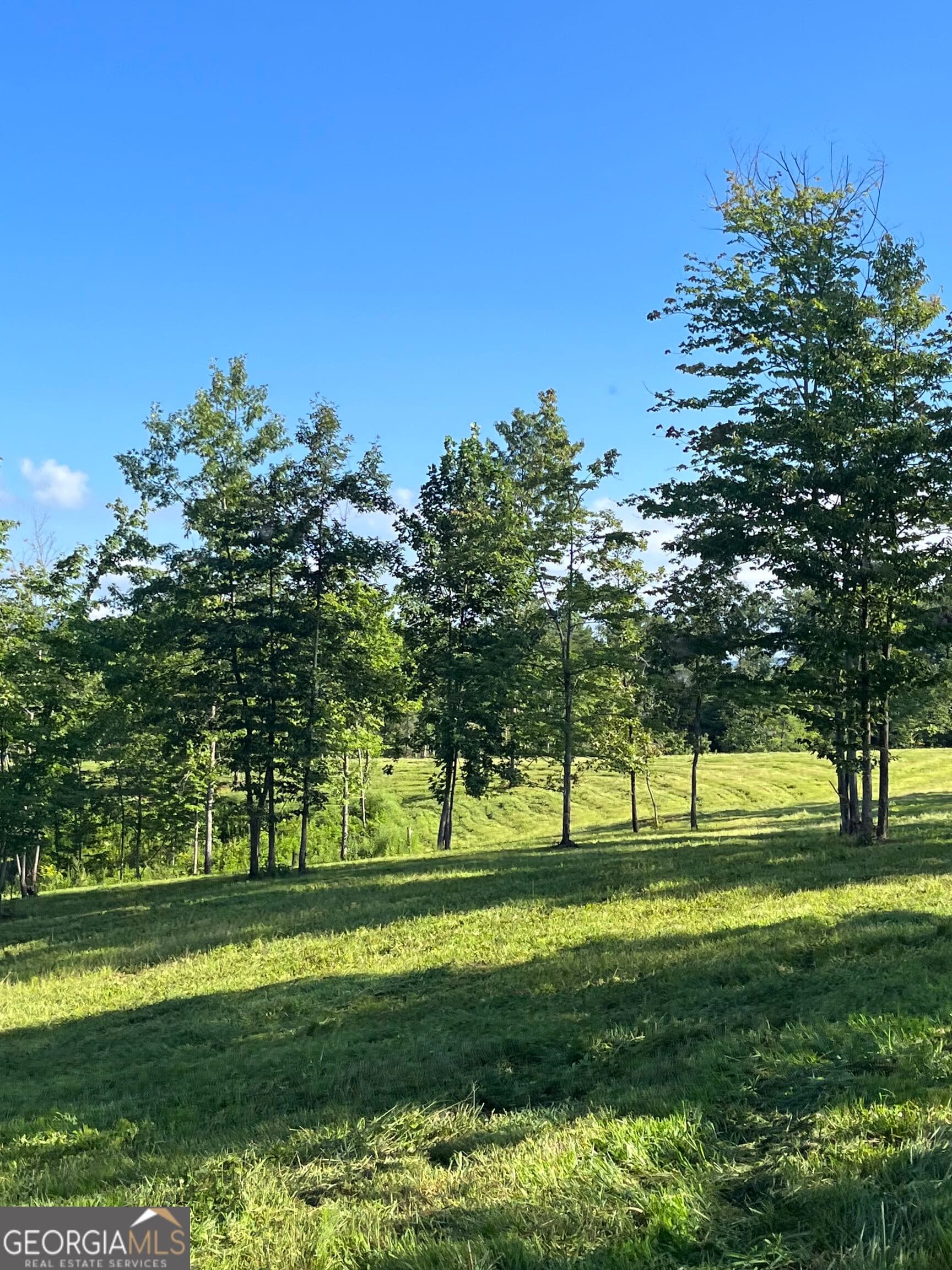 agriculture for sale at LOT 1 Highway 52, Dahlonega, GA 30533 — photo 6