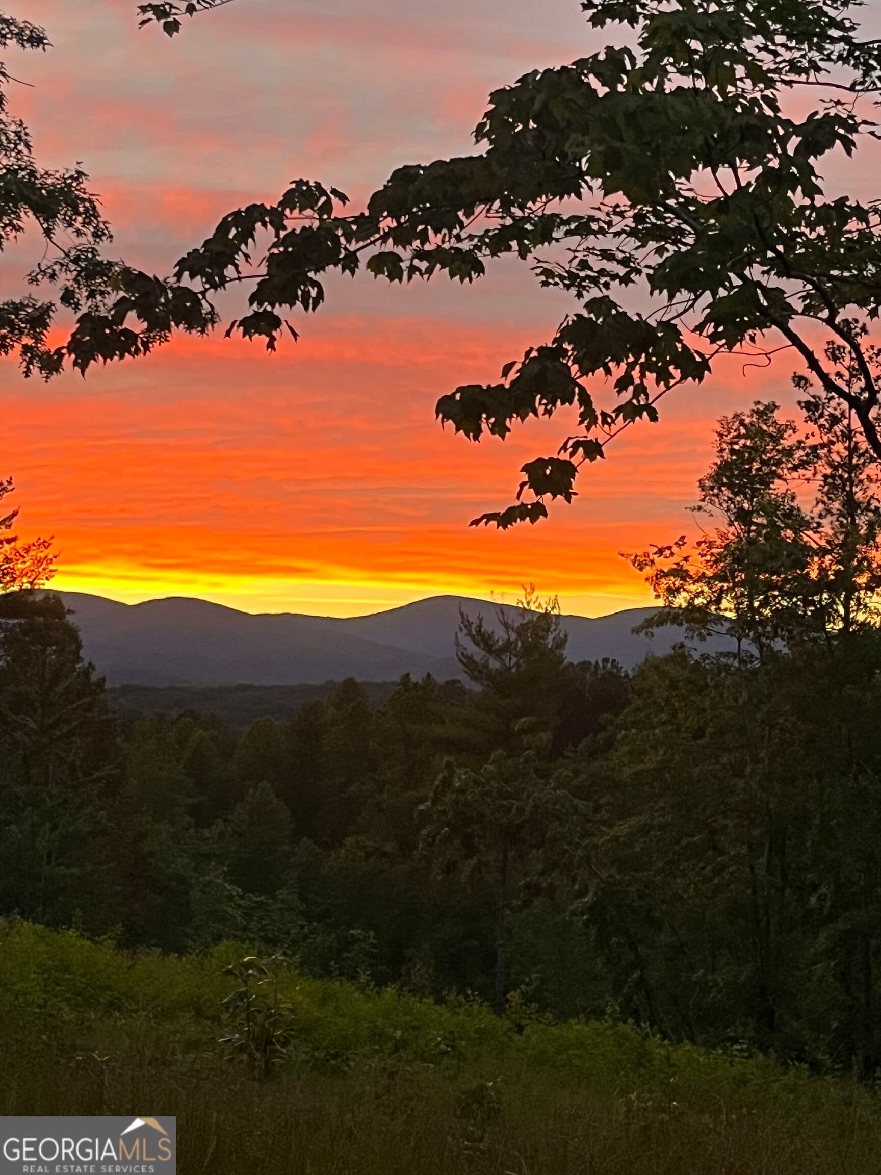 agriculture for sale at LOT 1 Highway 52, Dahlonega, GA 30533 — photo 1 of 19
