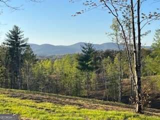 agriculture for sale at LOT 1 Highway 52, Dahlonega, GA 30533 — photo 5