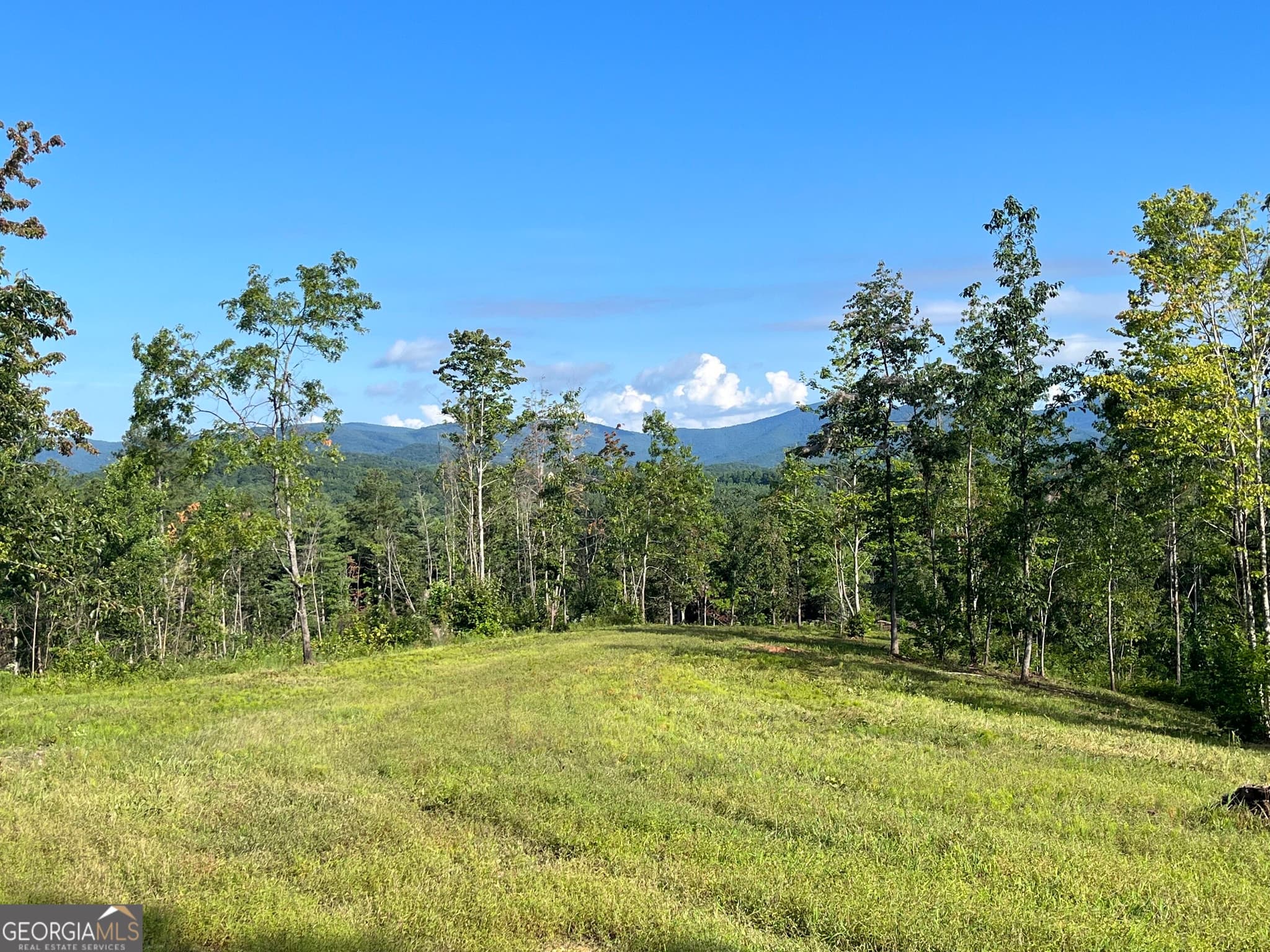 agriculture for sale at LOT 1 Highway 52, Dahlonega, GA 30533 — photo 9