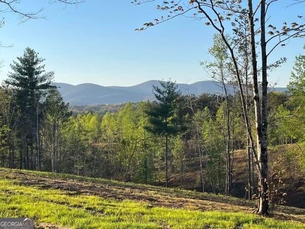 agriculture for sale at LOT 1 Highway 52, Dahlonega, GA 30533 — photo 10