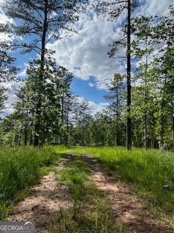 agriculture for sale at LOT 1 Highway 52, Dahlonega, GA 30533 — photo 4