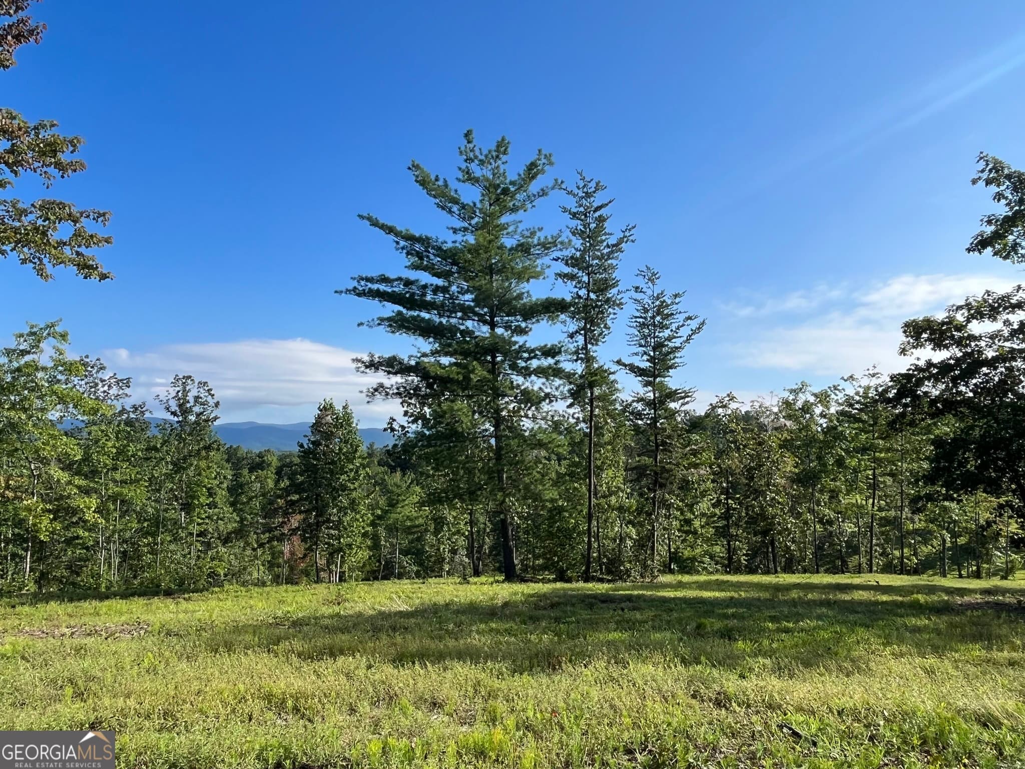 agriculture for sale at LOT 1 Highway 52, Dahlonega, GA 30533 — photo 8