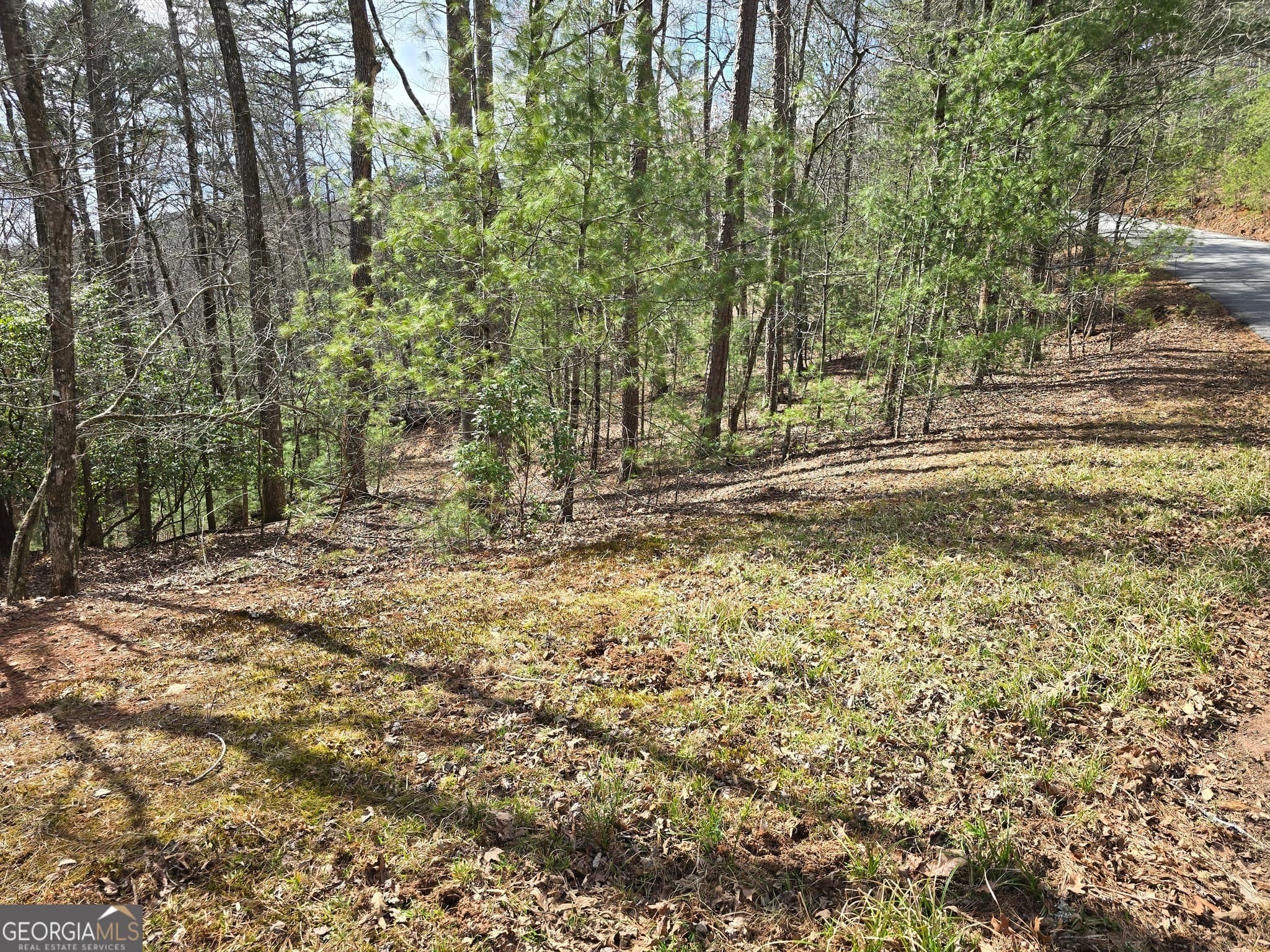 residential lot for sale at 13L Sautee Trail, Sautee Nacoochee, GA 30571 — photo 2