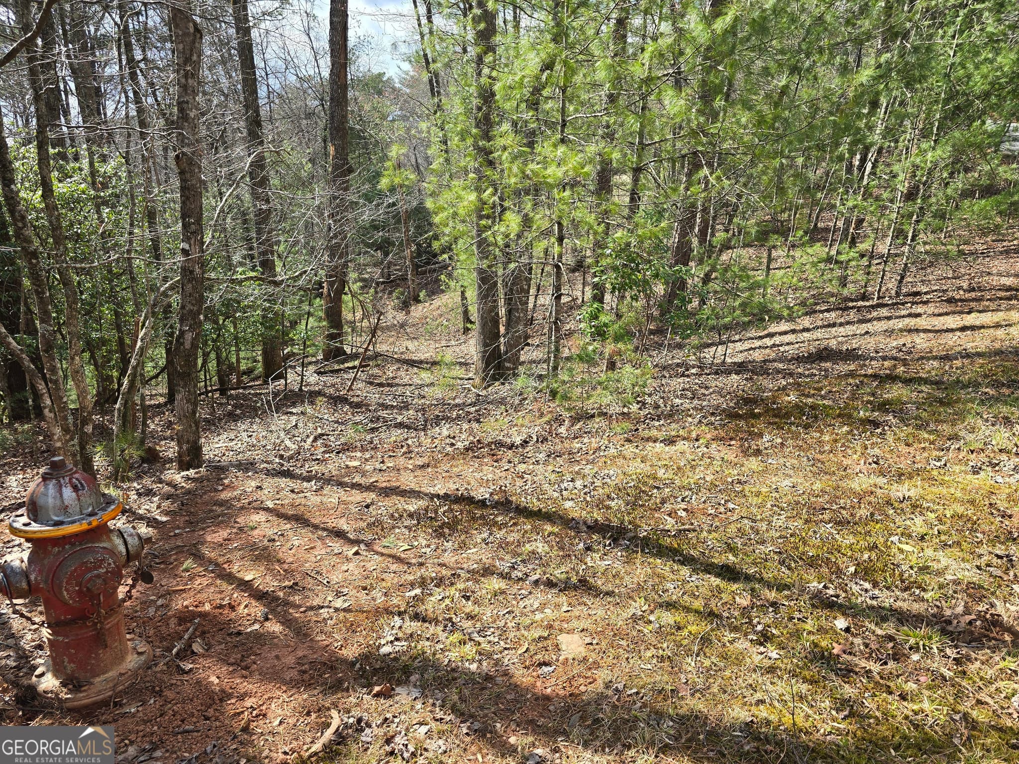 residential lot for sale at 13L Sautee Trail, Sautee Nacoochee, GA 30571 — photo 3