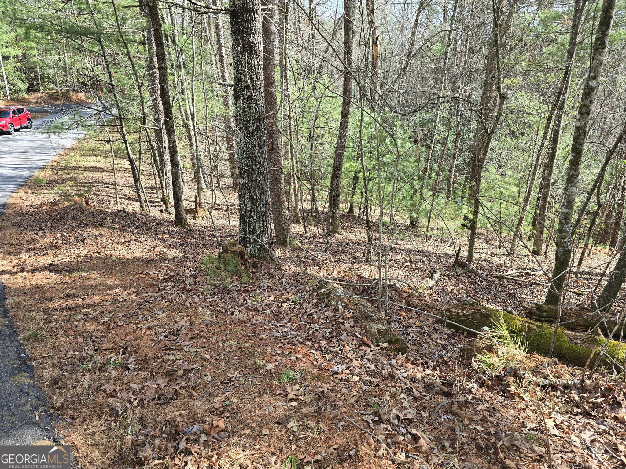 residential lot for sale at 13L Sautee Trail, Sautee Nacoochee, GA 30571 — photo 1 of 19