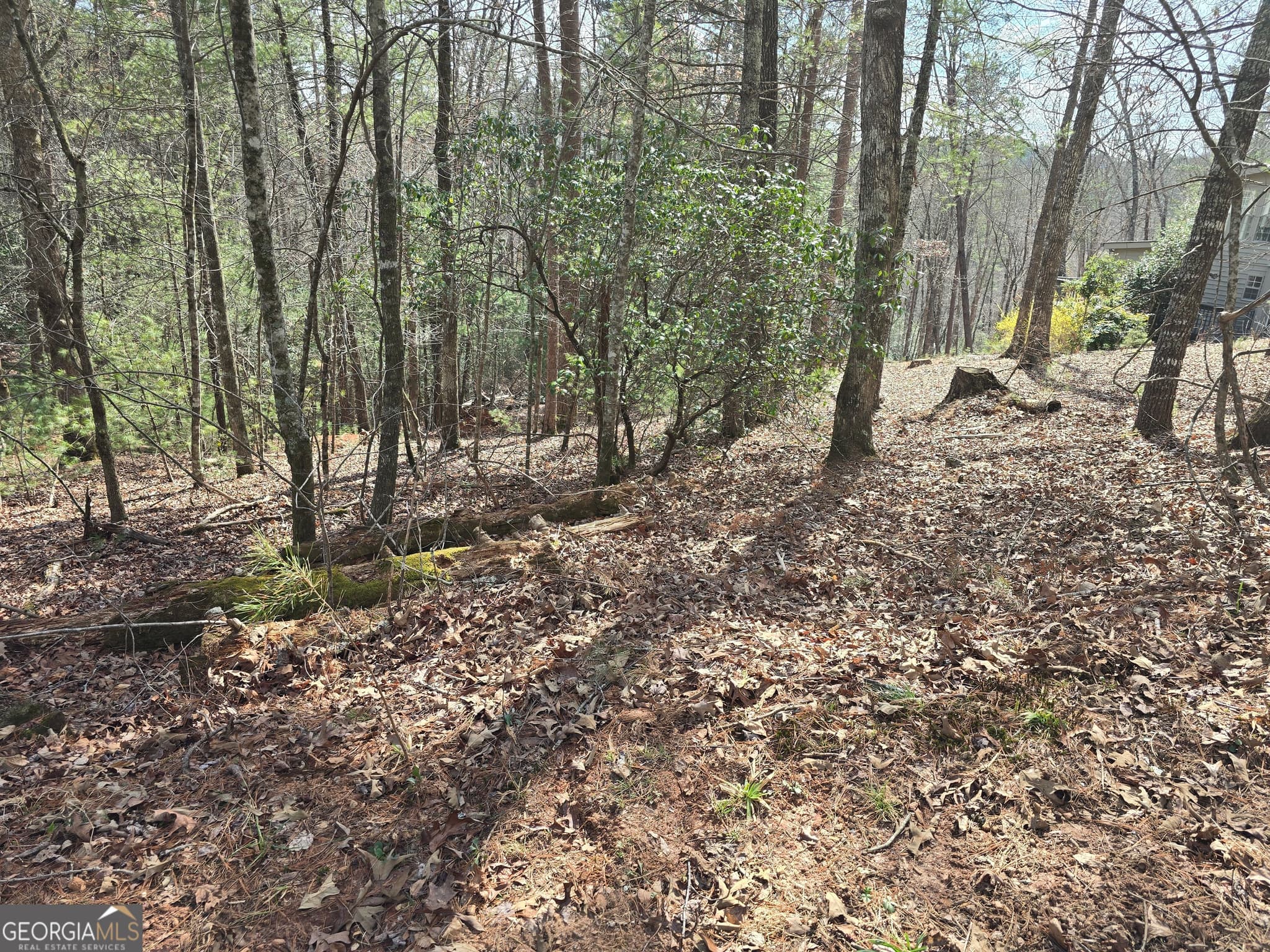 residential lot for sale at 13L Sautee Trail, Sautee Nacoochee, GA 30571 — photo 4