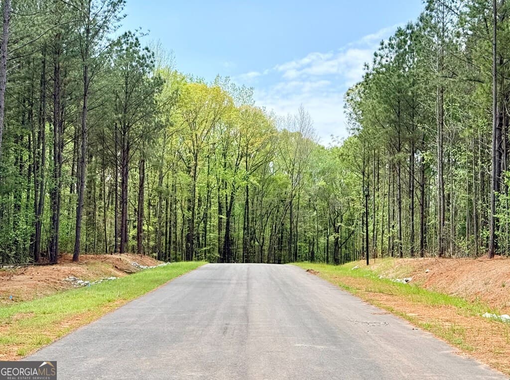4 bedroom, 3.5 bathroom, 2,314 sq ft single family residence for sale at 186 Rolling Meadows Way, Waverly Hall, GA 31831 — photo 4