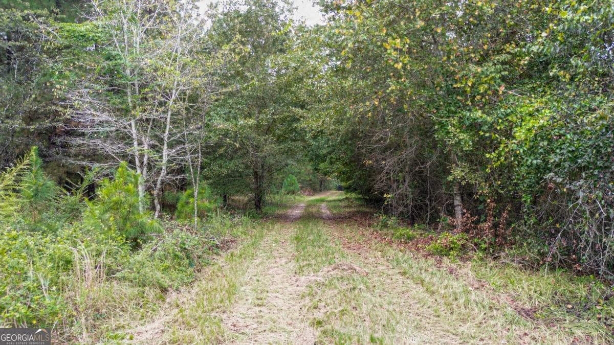 unimproved land for sale at 0 Willow Creek Drive, Oglethorpe, GA 31068 — photo 2