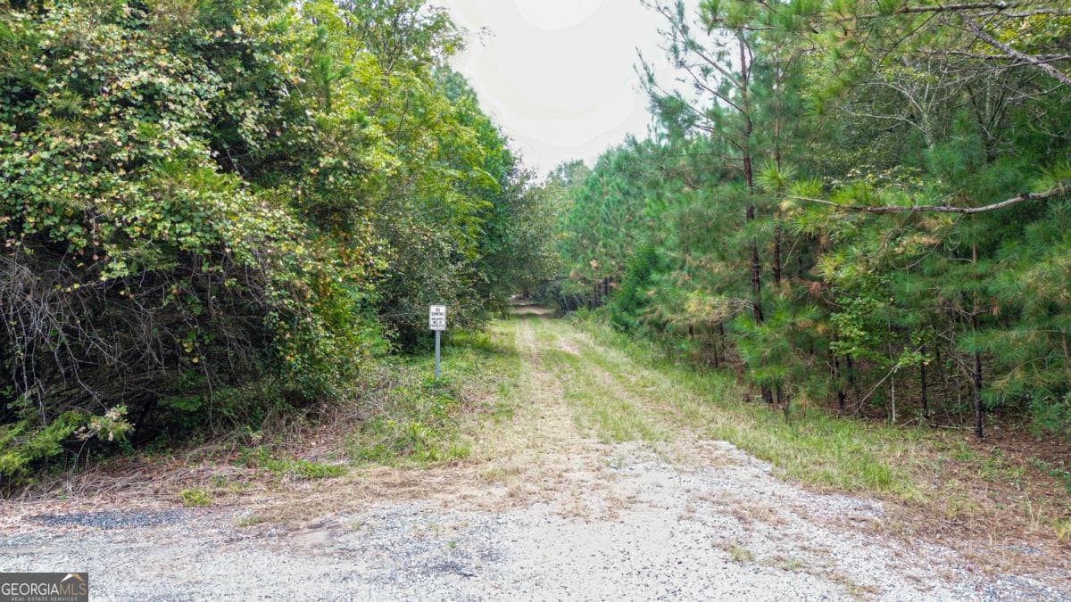 unimproved land for sale at 0 Willow Creek Drive, Oglethorpe, GA 31068 — photo 6