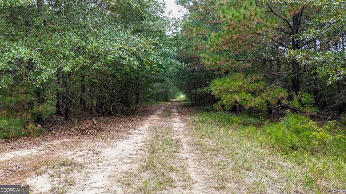 unimproved land for sale at 0 Willow Creek Drive, Oglethorpe, GA 31068 — photo 3