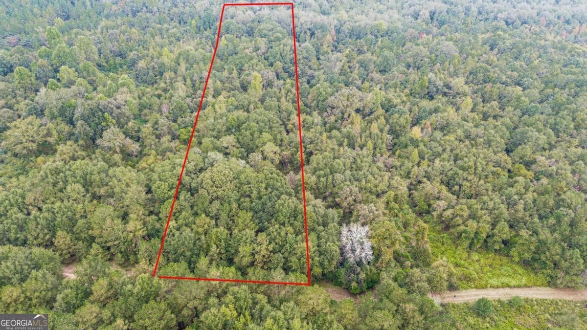unimproved land for sale at 0 Willow Creek Drive, Oglethorpe, GA 31068 — photo 1 of 6