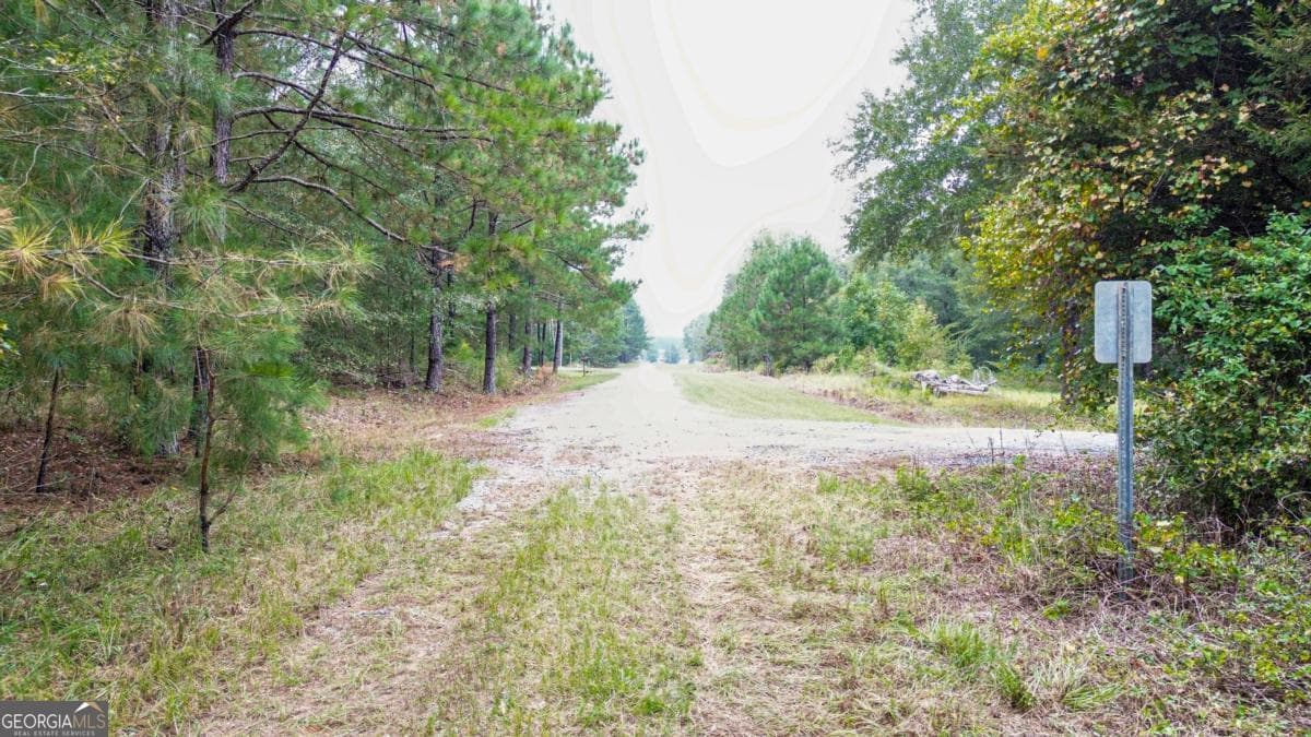 unimproved land for sale at 0 Willow Creek Drive, Oglethorpe, GA 31068 — photo 5