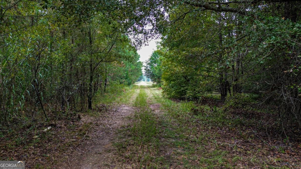 unimproved land for sale at 0 Willow Creek Drive, Oglethorpe, GA 31068 — photo 4