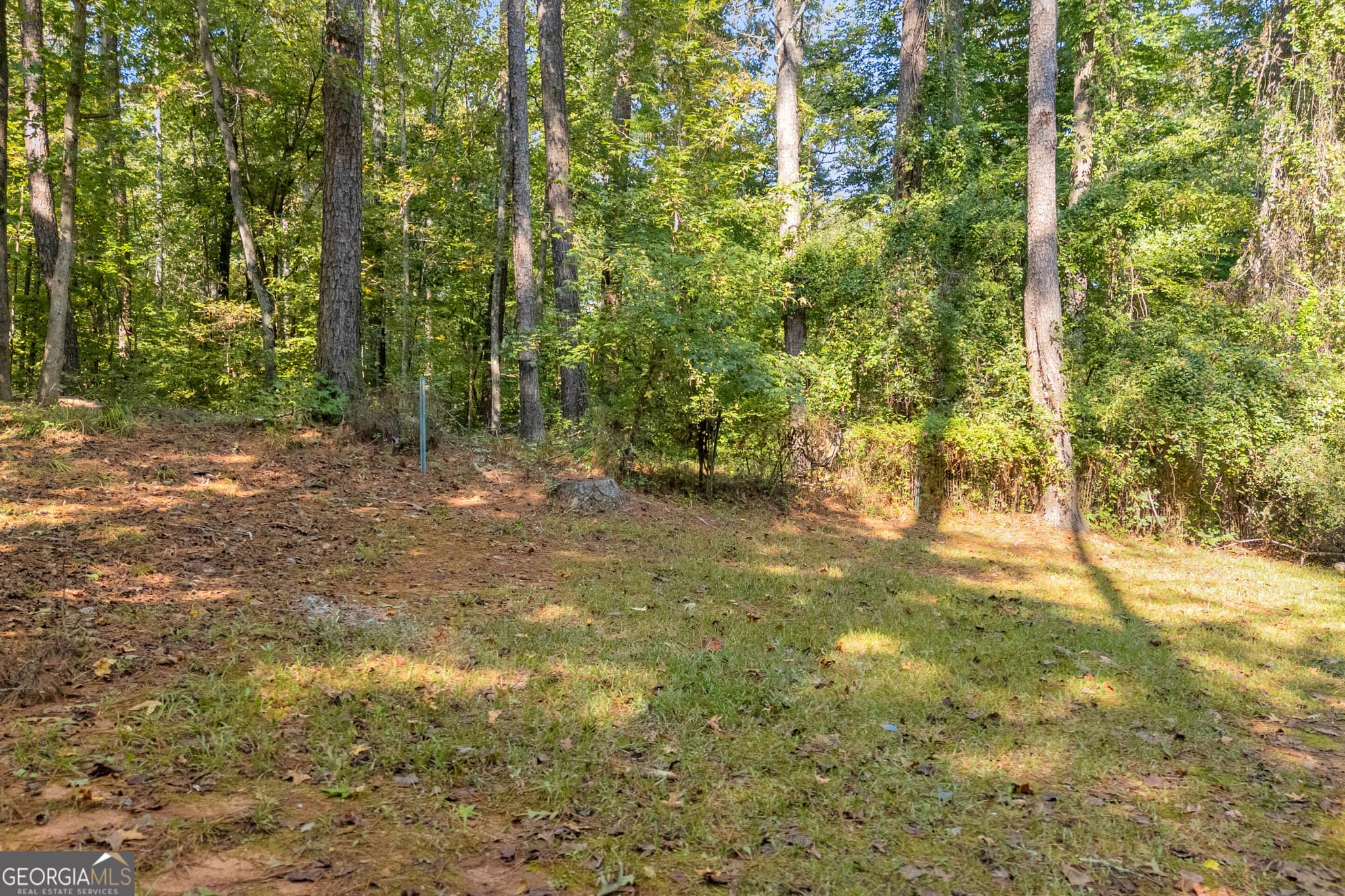 3 bedroom, 1 bathroom, 1,124 sq ft single family residence for sale at 135 Sara Drive, Covington, GA 30014 — photo 6