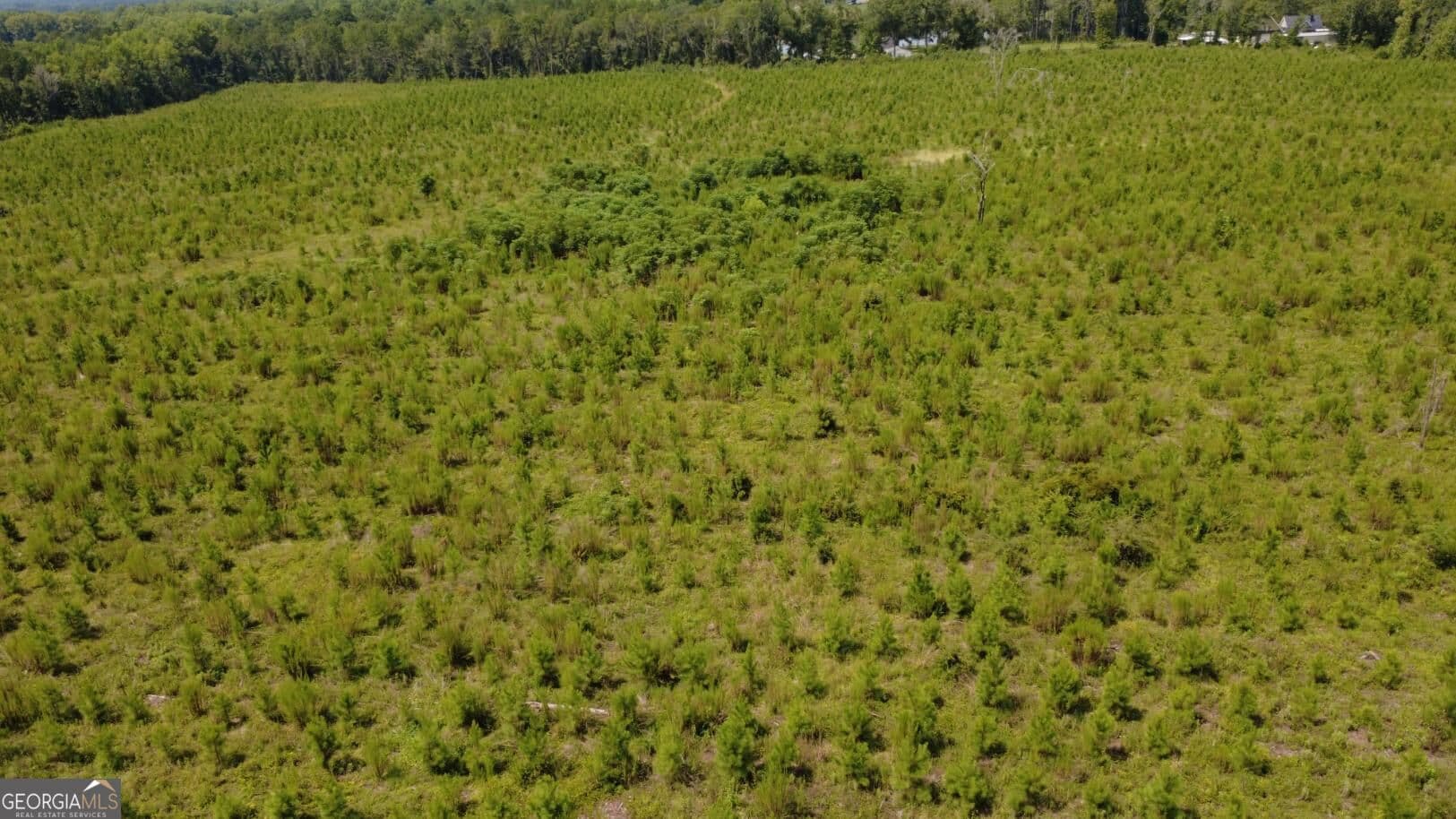 unimproved land for sale at 0 SIMS BROTHERS Road, Claxton, GA 30417 — photo 2