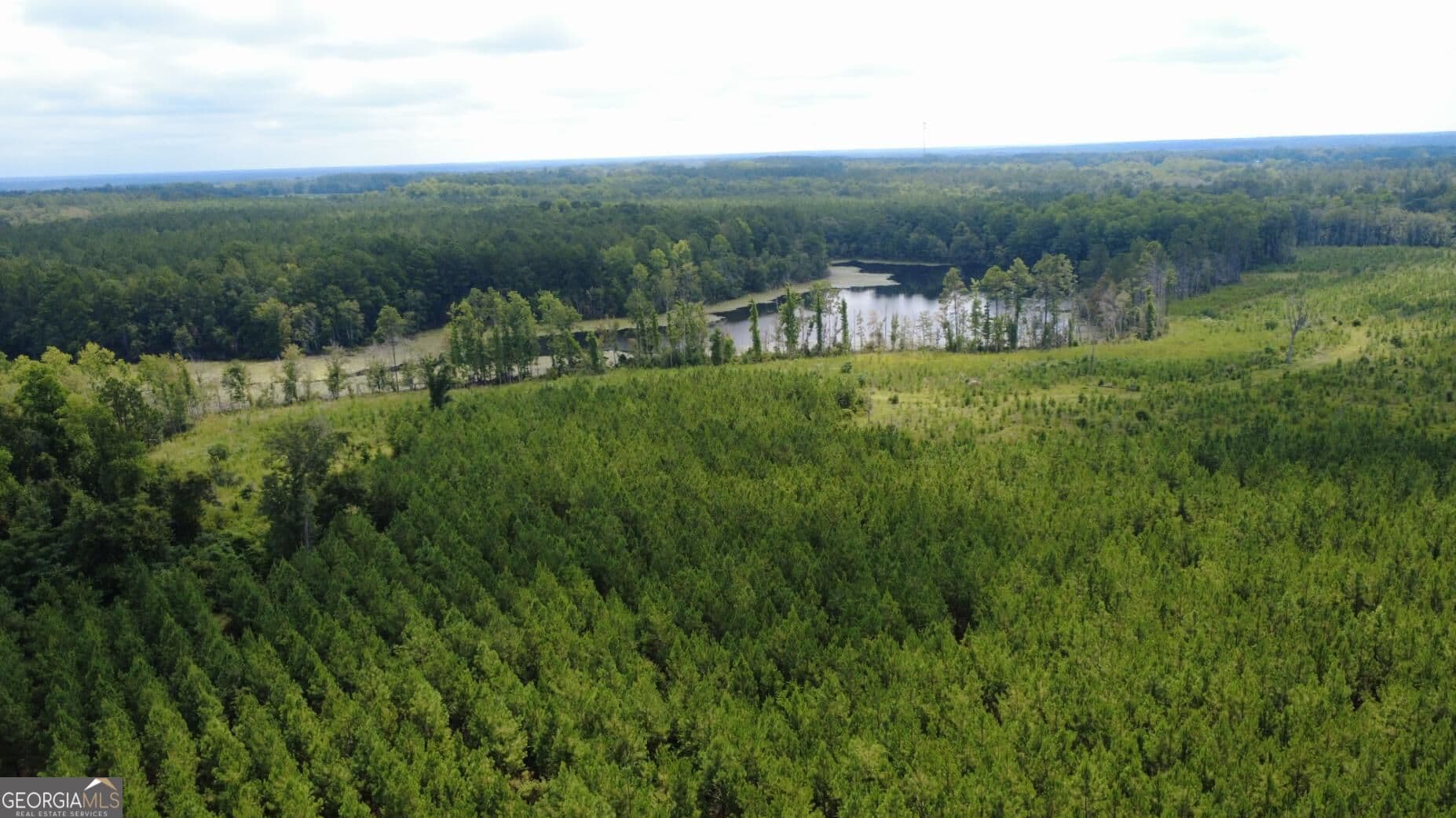unimproved land for sale at 0 SIMS BROTHERS Road, Claxton, GA 30417 — photo 6