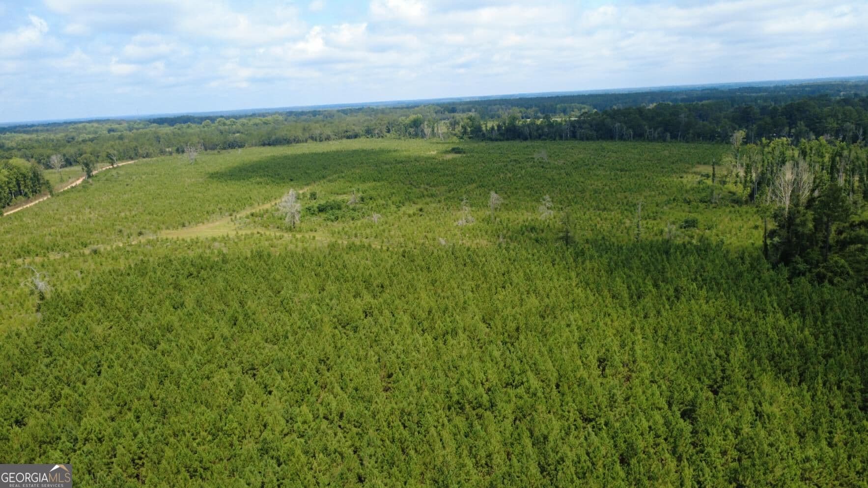 unimproved land for sale at 0 SIMS BROTHERS Road, Claxton, GA 30417 — photo 7