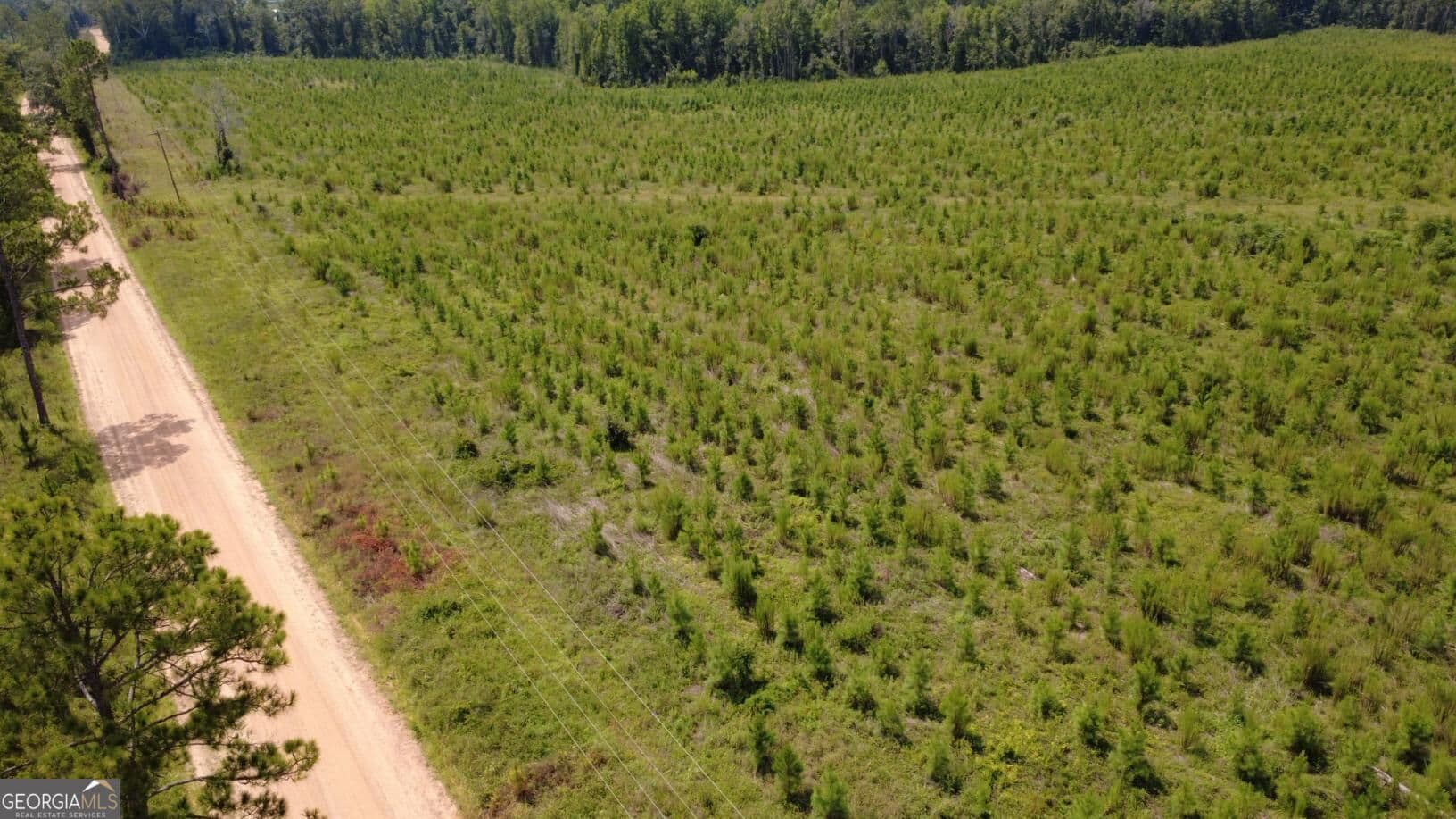 unimproved land for sale at 0 SIMS BROTHERS Road, Claxton, GA 30417 — photo 3