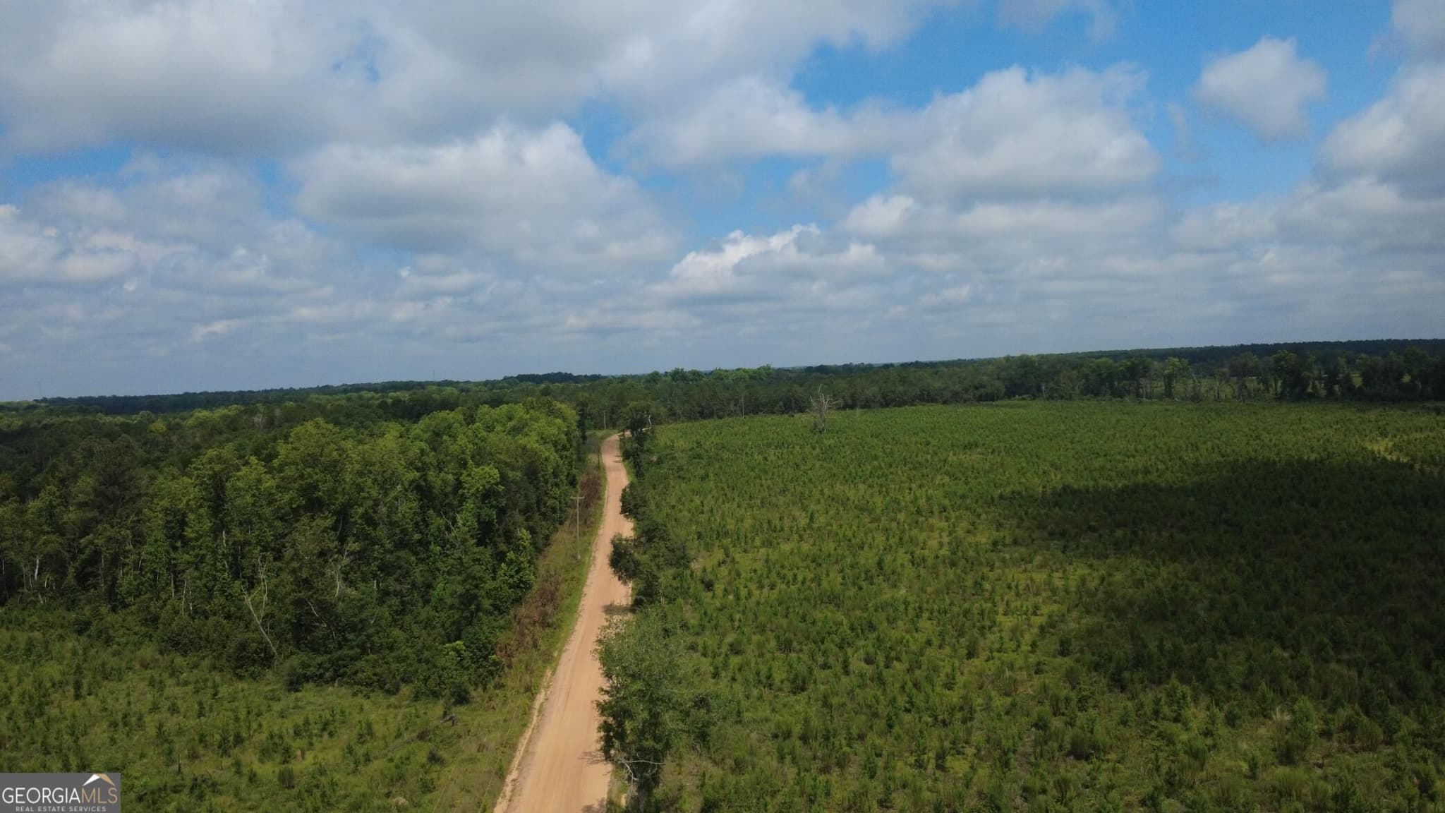 unimproved land for sale at 0 SIMS BROTHERS Road, Claxton, GA 30417