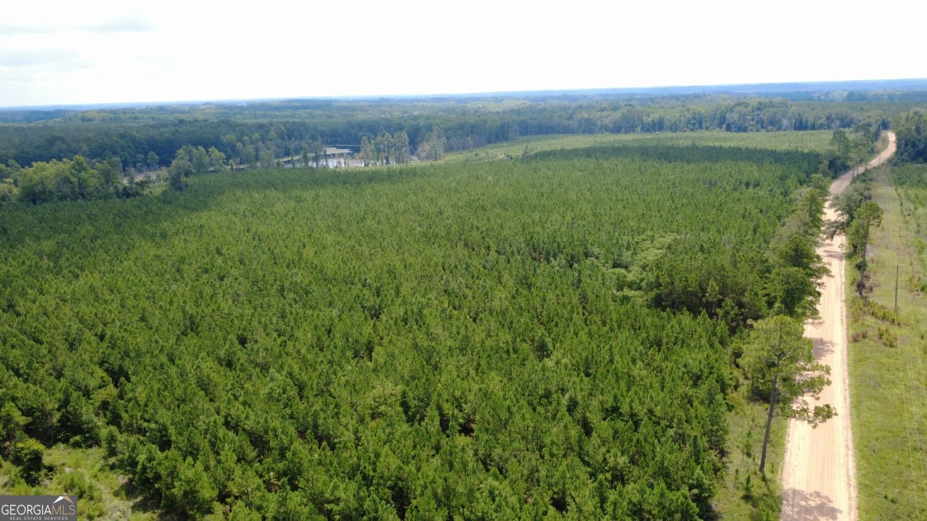 unimproved land for sale at 0 SIMS BROTHERS Road, Claxton, GA 30417 — photo 5