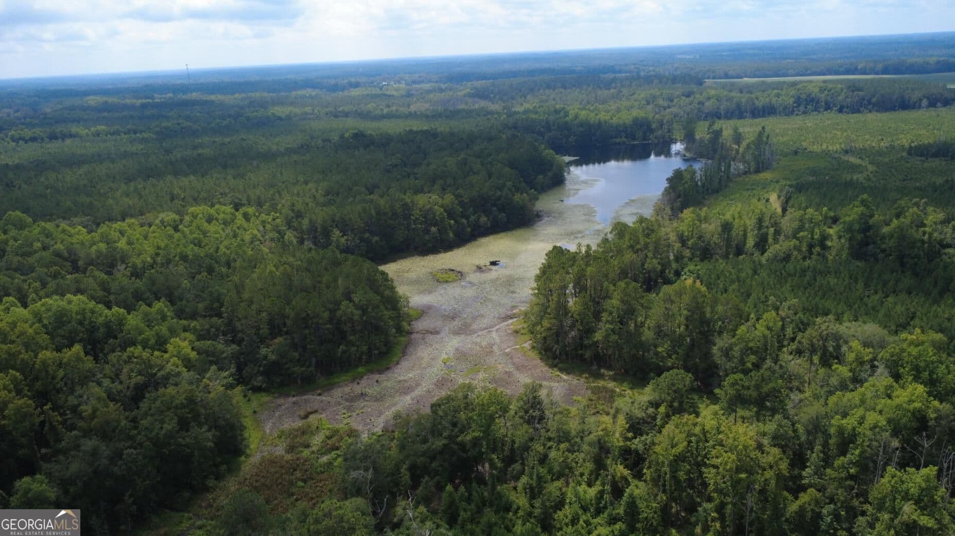 unimproved land for sale at 0 SIMS BROTHERS Road, Claxton, GA 30417 — photo 9