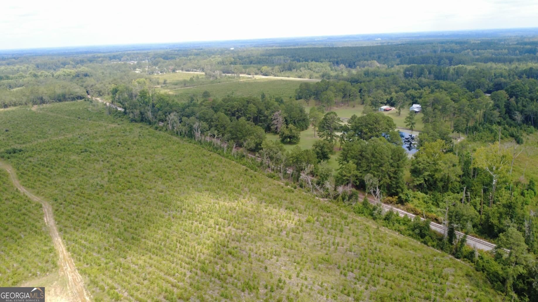 unimproved land for sale at 0 SIMS BROTHERS Road, Claxton, GA 30417 — photo 10