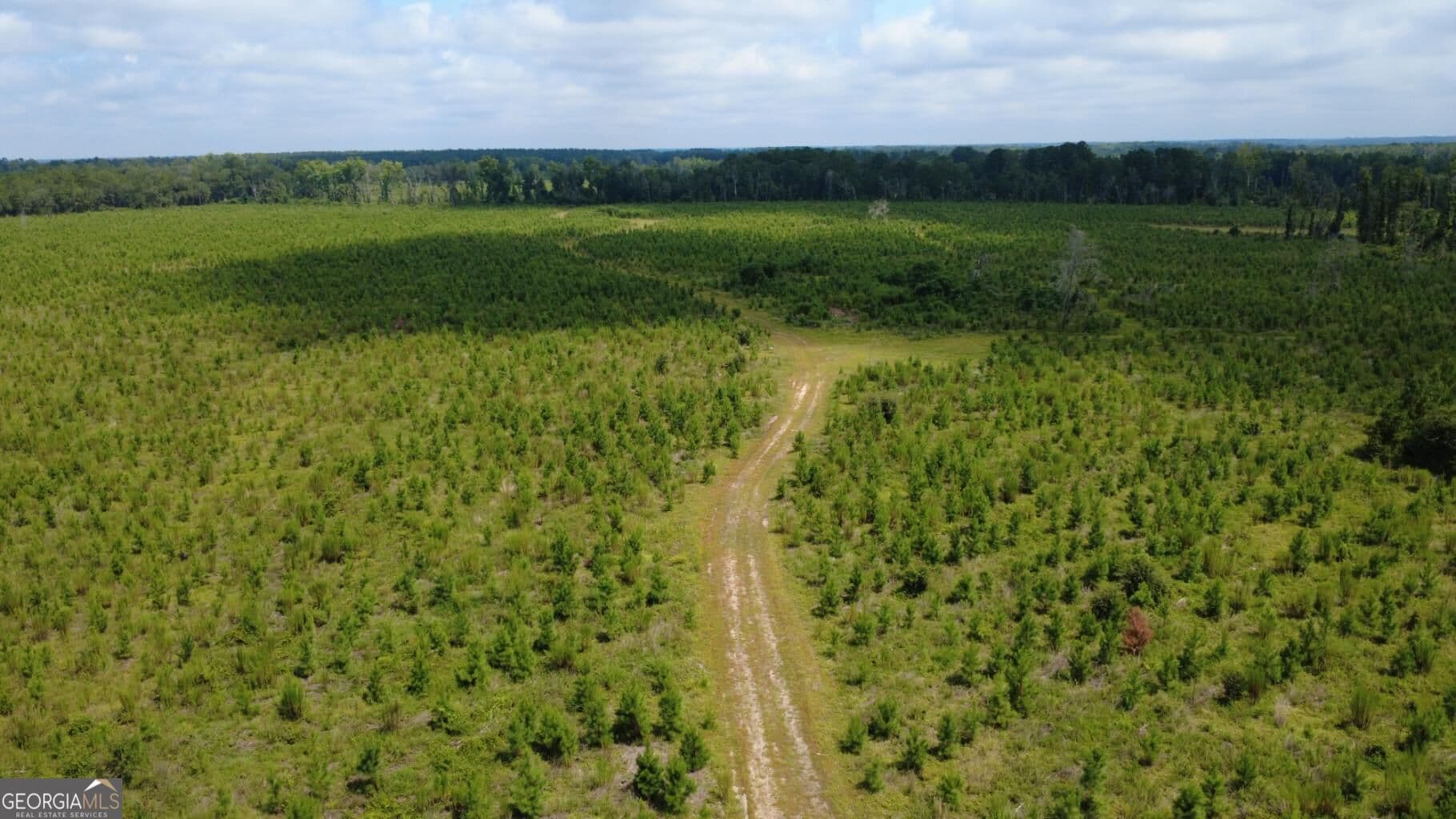 unimproved land for sale at 0 SIMS BROTHERS Road, Claxton, GA 30417 — photo 4
