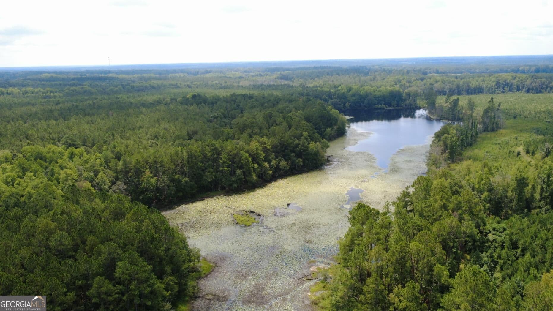 unimproved land for sale at 0 SIMS BROTHERS Road, Claxton, GA 30417 — photo 8