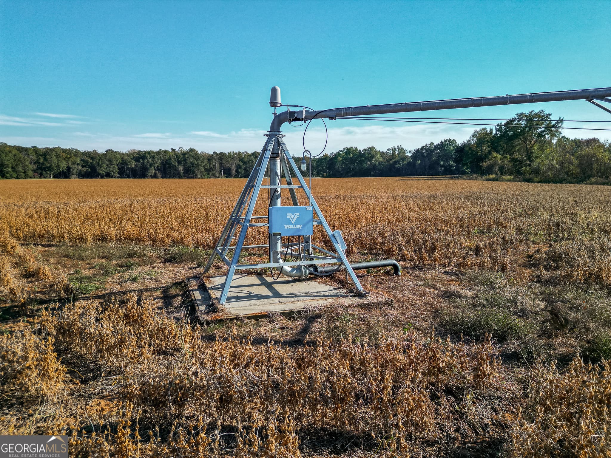 agriculture for sale at 0 Buck Road, Morgan, GA 39866 — photo 2