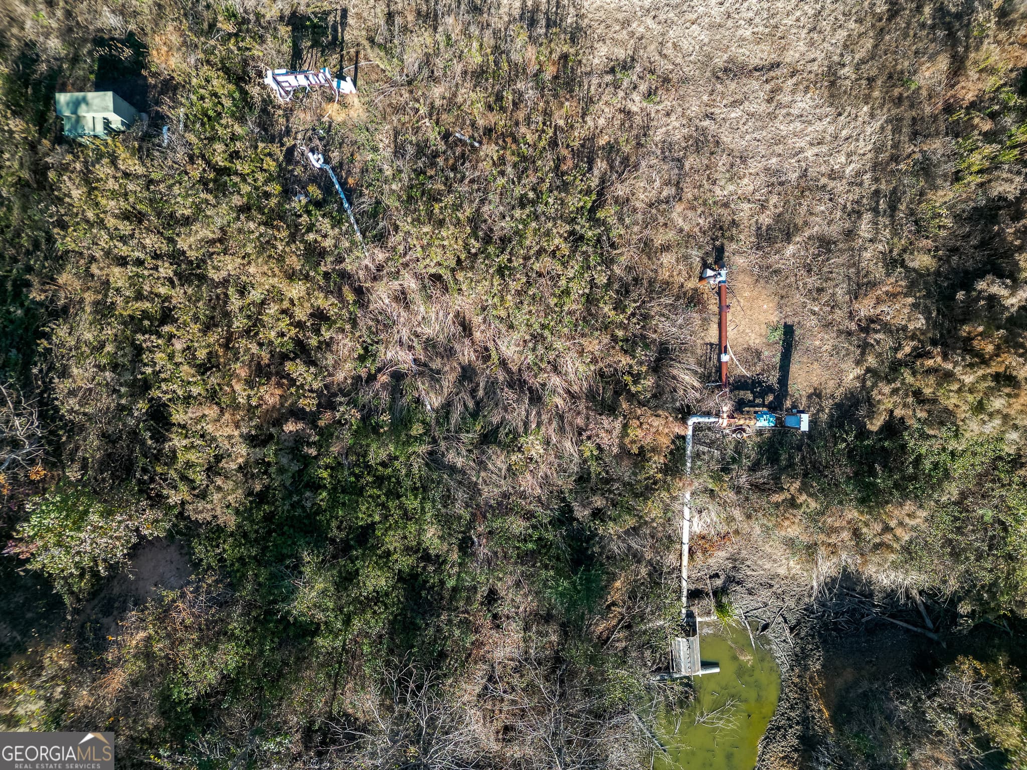 agriculture for sale at 0 Buck Road, Morgan, GA 39866 — photo 6